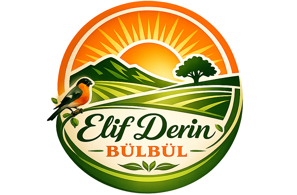 Elif Derin B&Uuml;LB&Uuml;L